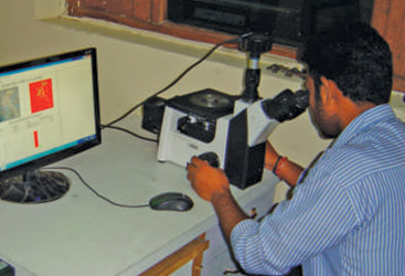 Image Analyzer for Micro Shapes and Sizes